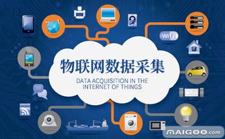 綠度 引領物聯網與信息服務創新的軟件開發品牌