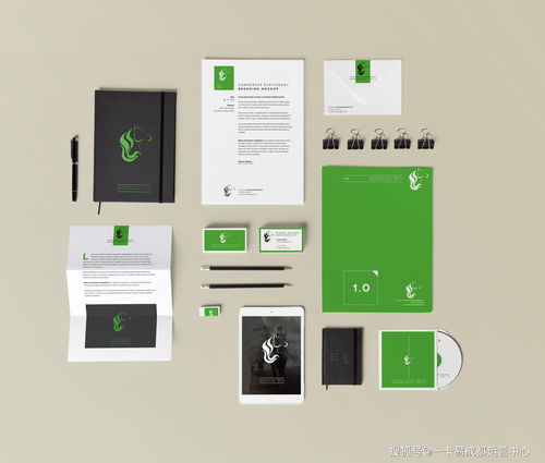 深入解析 商用軟件與會員軟件的OEM封裝及其在軟件開發中的意義